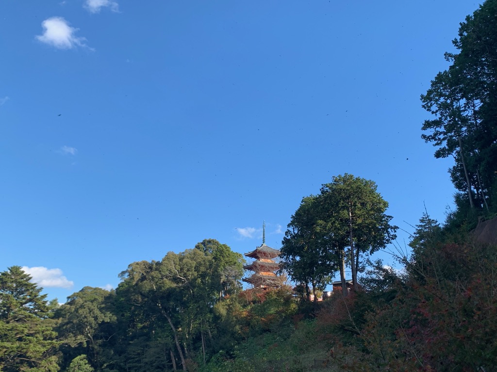 奥山方広寺景観