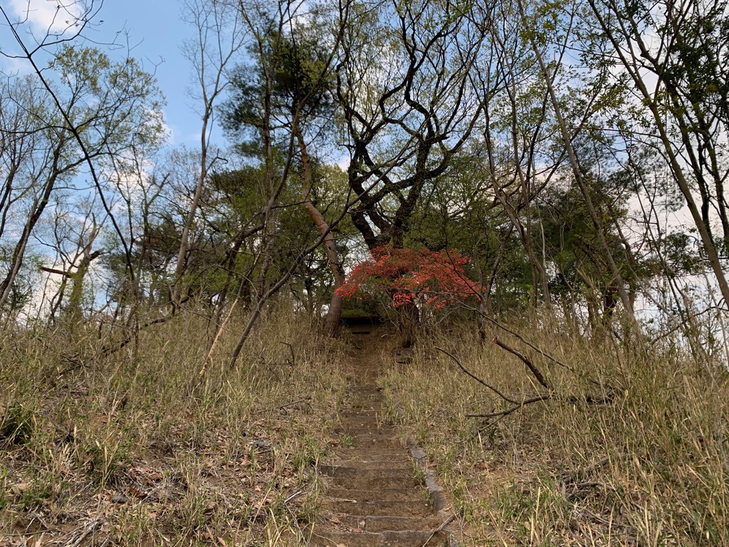 小倉山観音院参道