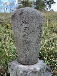梅子衍熟