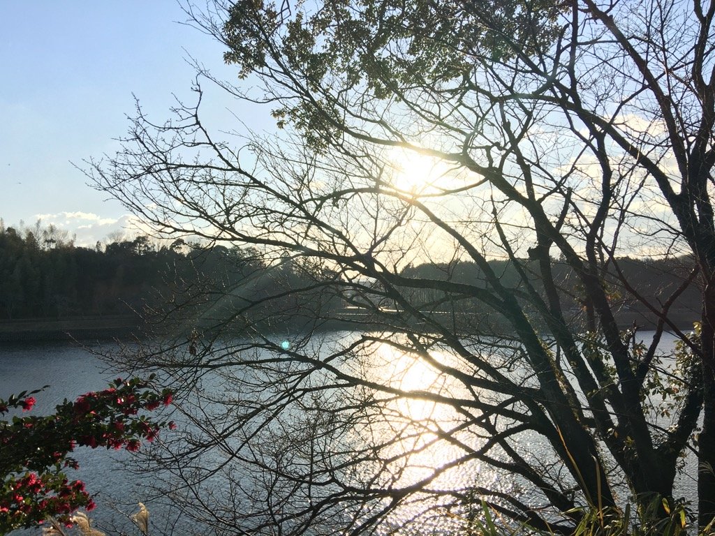 天照山法泉寺 涵翠池