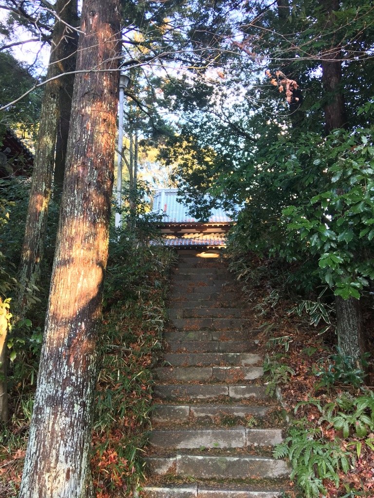天照山法泉寺参道